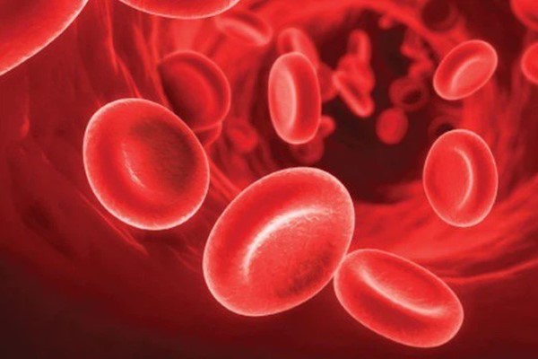 Bệnh máu khó đông và dinh dưỡng cho người bệnh máu khó đông